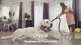  Presentation with young business woman smile show - Presentation theme consisting of dirty house - young woman cleaning big dog background and a gray colored foreground