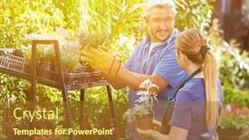  Presentation with apprenticeship - Slide set featuring young-woman-doing-apprenticeship background and a tawny brown colored foreground