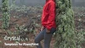  Presentation with foggy forest - Slide set consisting of young-woman-exploring-stunning-autumn background and a dark gray colored foreground