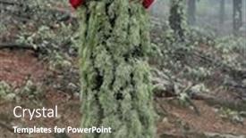  Presentation with foggy forest - Presentation design featuring young-woman-exploring-stunning-autumn background and a gray colored foreground