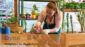  Presentation with caring - Presentation theme enhanced with young-woman-florist-caring background and a gold colored foreground