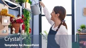  Presentation with young plant - 