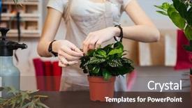  Presentation with taking care of children and parent - PPT theme featuring young woman florist taking care background and a tawny brown colored foreground