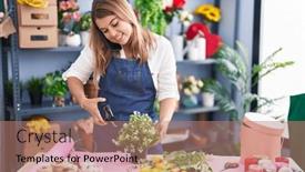  Presentation with young plant - 