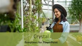  Presentation with caring - Presentation design featuring young-woman-gardener-caring-plants background and a yellow colored foreground