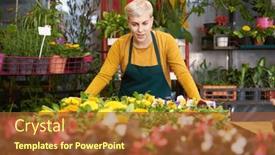  Presentation with flower woman - Slides having young-woman-gardener-in-training background and a tawny brown colored foreground