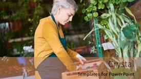  Presentation with nursery - Slide deck having young-woman-gardener-or-florist background and a coral colored foreground