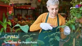  Presentation with nursery - Presentation with young-woman-gardener-or-florist background and a ocean colored foreground