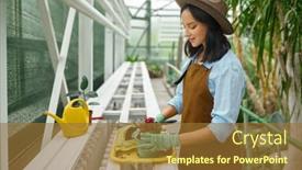  Presentation with greenhouse - Presentation theme enhanced with young-woman-gardener-potting-plants background and a tawny brown colored foreground