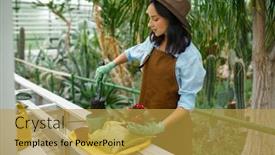  Presentation with greenhouse - Presentation design with young-woman-gardener-potting-plants background and a yellow colored foreground