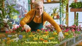  Presentation with nursery - Slide set featuring young-woman-gardener-taking-care background and a tawny brown colored foreground