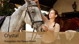  Presentation with warrior horse - Colorful PPT theme enhanced with young woman harnessing horse outdoors over stall putting on reins backdrop and a coral colored foreground