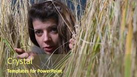  Presentation with weed - Cool new theme with hide seek - young woman hiding in high backdrop and a violet colored foreground