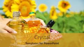  Presentation with oil field - PPT layouts featuring young woman holding basket with bottles of oil in field background and a gold colored foreground