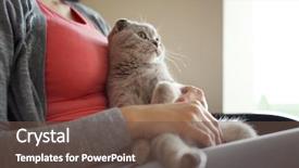  Presentation with cat - Amazing presentation design having young woman holding cat on knees backdrop and a tawny brown colored foreground