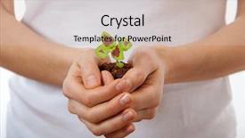  Presentation with sprout - PPT theme having nurture - young woman holding plant coleus background and a soft green colored foreground