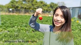  Presentation with strawberry - Beautiful PPT theme featuring young woman holding strawberry in the garden backdrop and a seafoam green colored foreground