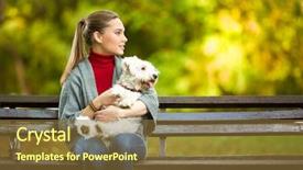  Presentation with guide dog helping blind woman - Cool new presentation theme with young-woman-hugging-a-maltese backdrop and a tawny brown colored foreground