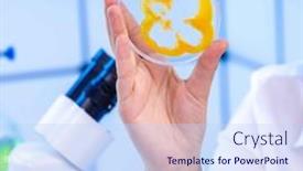  Presentation with laboratory food - PPT theme consisting of young-woman-in-a-food background and a light blue colored foreground