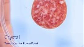  Presentation with laboratory food - PPT layouts consisting of young-woman-in-a-quality background and a sky blue colored foreground