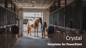  Presentation with young man and a woman - Presentation with young-woman-in-a-stable background and a tawny brown colored foreground