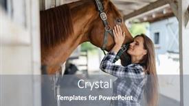  Presentation with horse - PPT layouts consisting of young-woman-in-a-stable background and a gray colored foreground