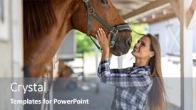  Presentation with horse - Presentation theme having young-woman-in-a-stable background and a gray colored foreground