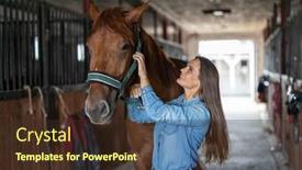  Presentation with horse - Theme with young-woman-in-a-stable background and a tawny brown colored foreground