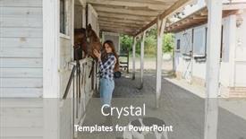  Presentation with horse - PPT theme having young-woman-in-a-stable background and a gray colored foreground