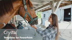  Presentation with horse - Slide deck consisting of young-woman-in-a-stable background and a gray colored foreground