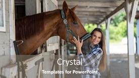  Presentation with horse - Presentation having young-woman-in-a-stable background and a gray colored foreground