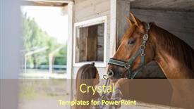  Presentation with horse - PPT layouts with young-woman-in-a-stable background and a coral colored foreground