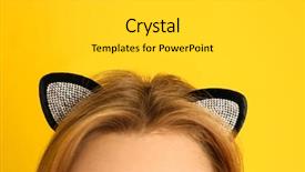  Presentation with young grey maine coon cat - Presentation theme enhanced with young woman in cat ears background and a light gray colored foreground