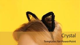  Presentation with young grey maine coon cat - Amazing theme having young woman in cat ears backdrop and a  colored foreground