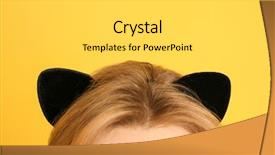  Presentation with young grey maine coon cat - Presentation theme featuring young woman in cat ears background and a  colored foreground