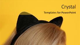  Presentation with young grey maine coon cat - Audience pleasing presentation theme consisting of young woman in cat ears backdrop and a yellow colored foreground