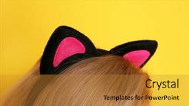  Presentation with young grey maine coon cat - Amazing presentation theme having young woman in cat ears backdrop and a gold colored foreground