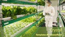  Presentation with vertical farm - Presentation theme with young-woman-in-hazmat-suit background and a tawny brown colored foreground