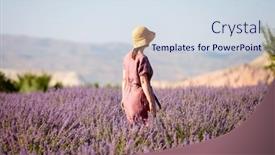  Presentation with lavender flowers - Theme with young-woman-in-lavender-flowers background and a sky blue colored foreground