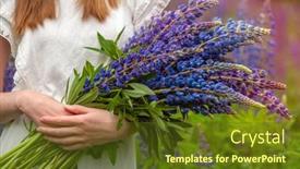  Presentation with field - Slides consisting of young-woman-in-lupin-field background and a tawny brown colored foreground