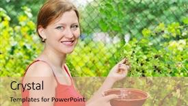  Presentation with woman gathering - Cool new PPT theme with young woman in summer garden gathering berries backdrop and a coral colored foreground