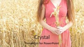  Presentation with golden woman - Audience pleasing PPT theme consisting of young woman in the field holding bundle of the golden wheat ears backdrop and a coral colored foreground