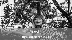 Presentation with black white tree - Amazing slide deck having young-woman-on-a-tree backdrop and a gray colored foreground