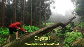  Presentation with tropical forest - Beautiful slides featuring young-woman-photographer-trekking backdrop and a tawny brown colored foreground