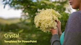  Presentation with infusion - PPT theme enhanced with young woman picking elderflower to make an infusion at home background and a tawny brown colored foreground