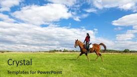 Presentation with horse riding - Beautiful PPT layouts featuring young woman riding a horse backdrop and a gold colored foreground