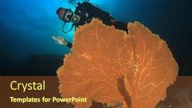  Presentation with scuba diving - Beautiful slide deck featuring young woman scuba diving backdrop and a tawny brown colored foreground