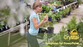  Presentation with plants - Theme consisting of young woman shopping for plant background and a  colored foreground