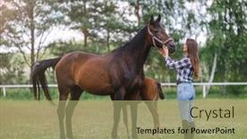  Presentation with horses - Slide deck having young-woman-standing background and a mint green colored foreground