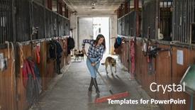  Presentation with floor - Presentation consisting of young-woman-sweeping-stable-s background and a tawny brown colored foreground